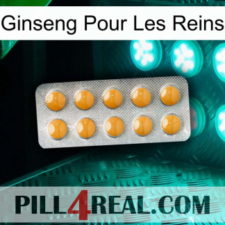 Ginseng For Kidney levitra1